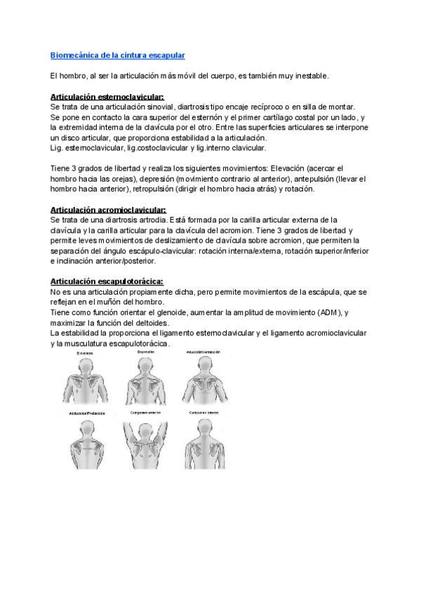 Miniatura del documento Biomecanica-apuntes.pdf