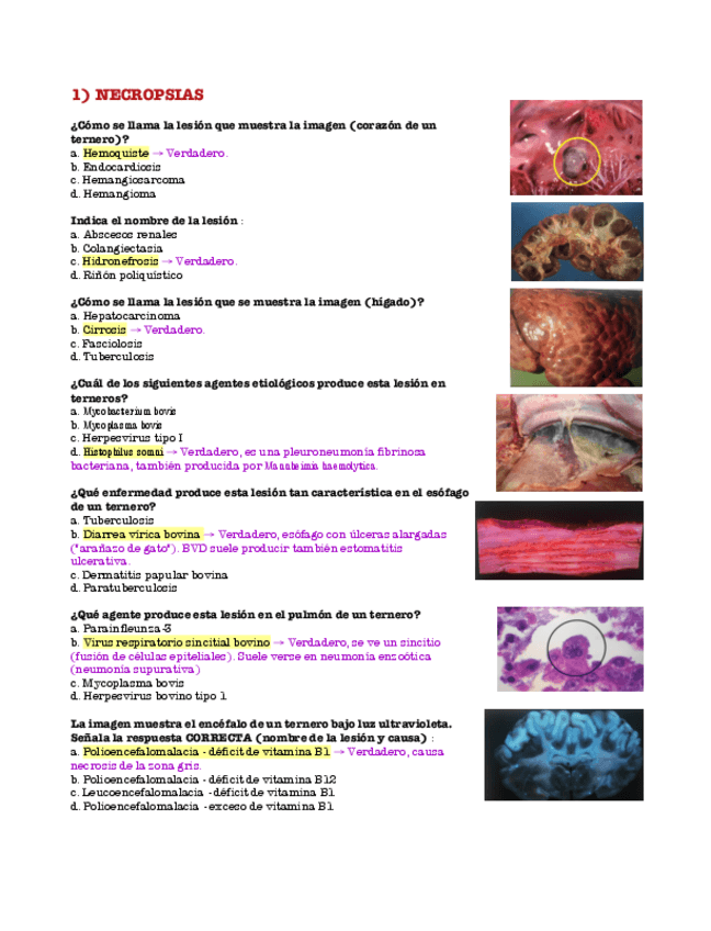 Miniatura del documento Examen Parcial 2°.pdf