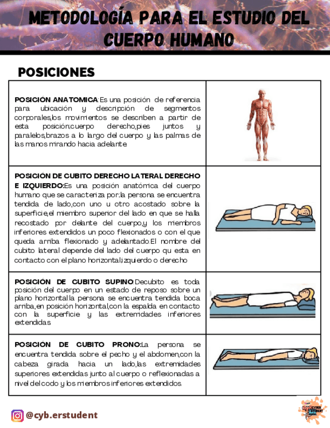 Miniatura del documento POSICIONES.pdf