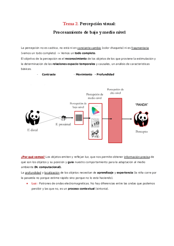Miniatura del documento Tema-2-Percepcion.pdf