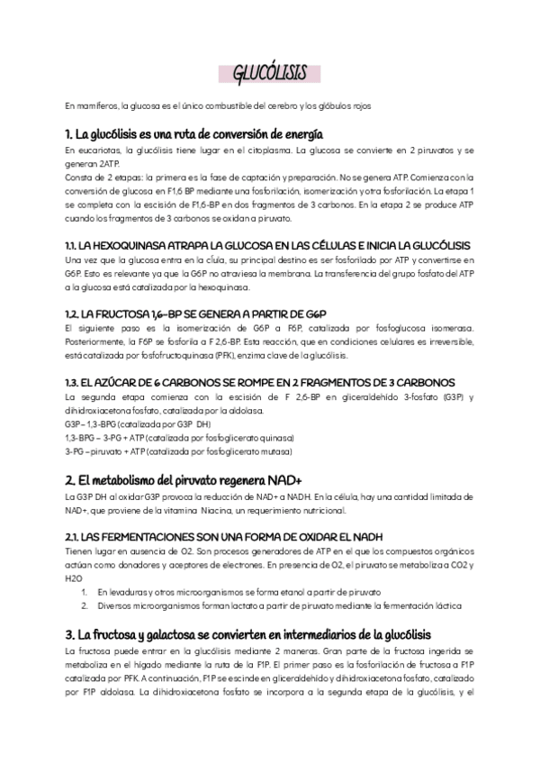 Miniatura del documento Glucolisis.pdf