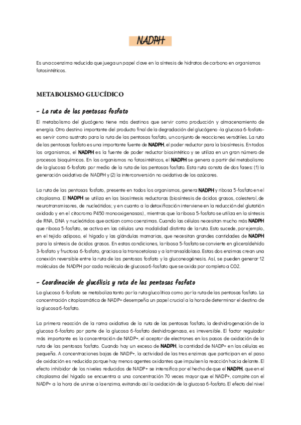 Miniatura del documento NADPH.pdf