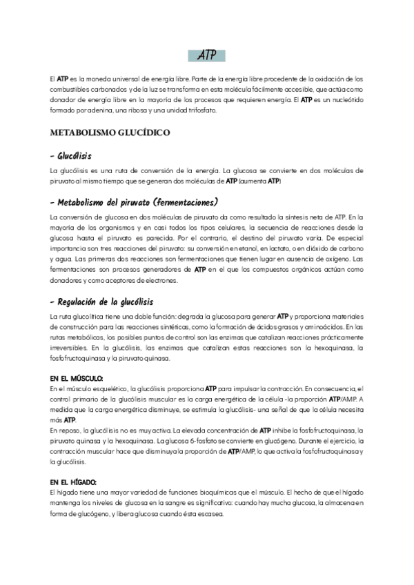 Miniatura del documento ATP.pdf