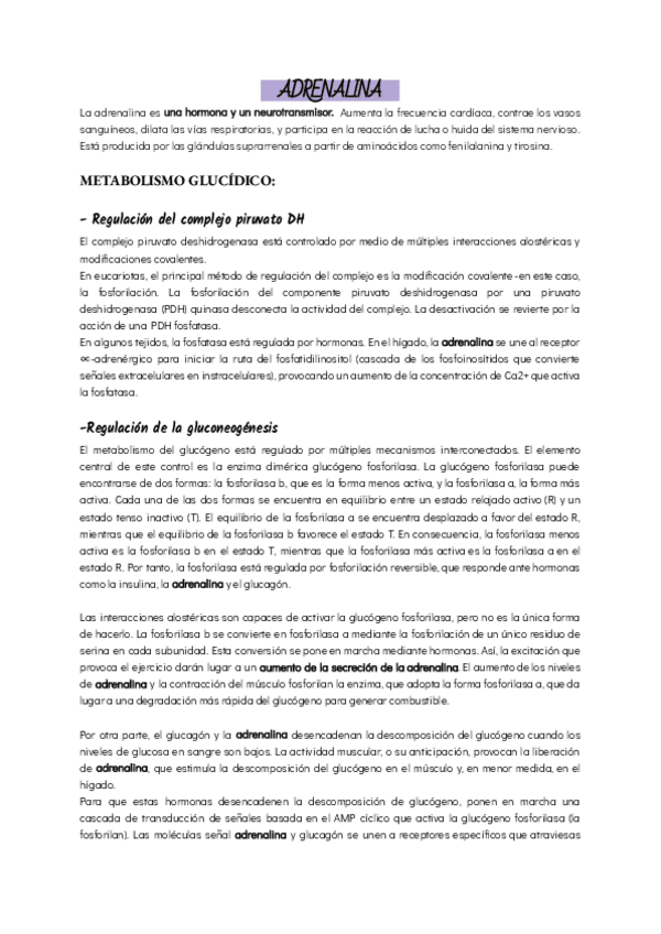 Miniatura del documento ADRENALINA.pdf