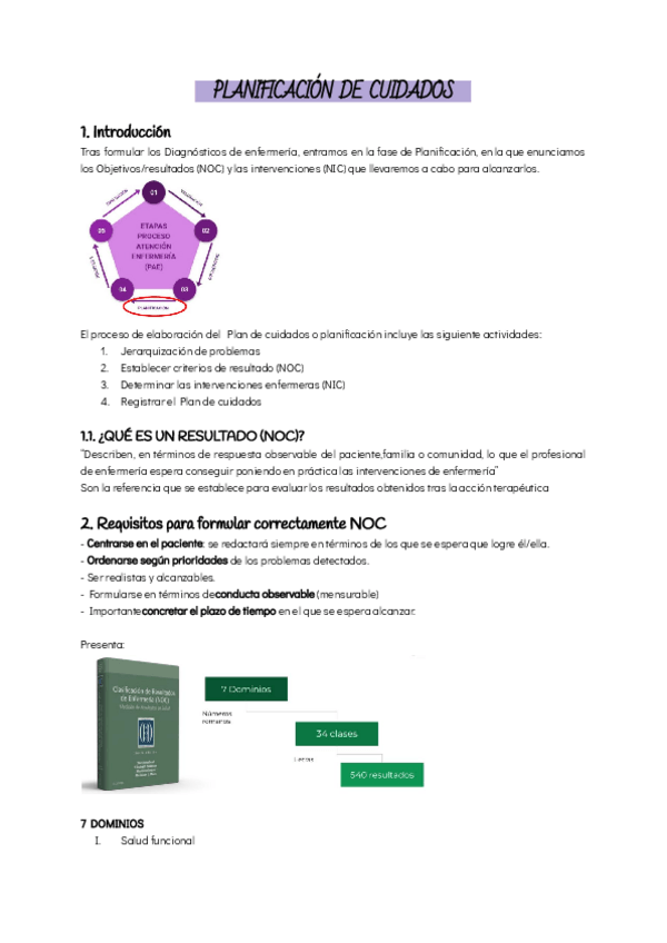 Miniatura del documento PLANIFICACION-DE-CUIDADOS.pdf