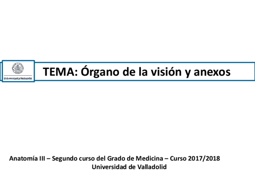 Miniatura del documento Organo-de-la-vision-y-anexos.pdf