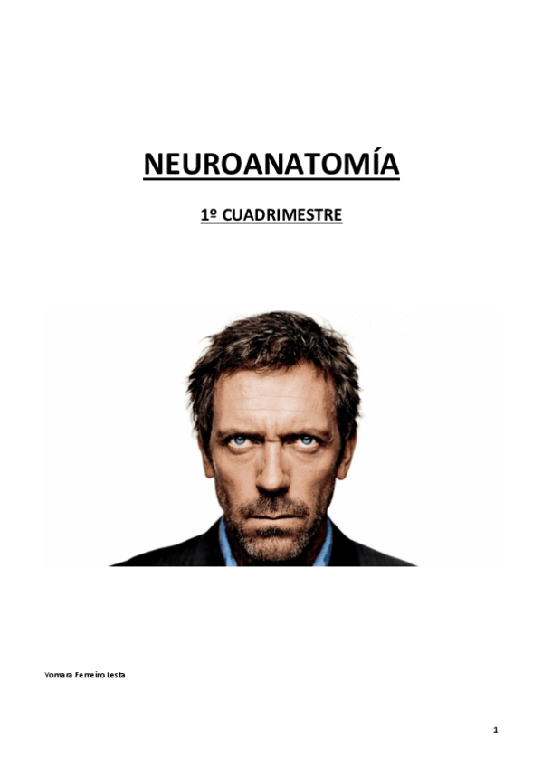 Miniatura del documento ApuntesNeuroanatomiaPablo.pdf