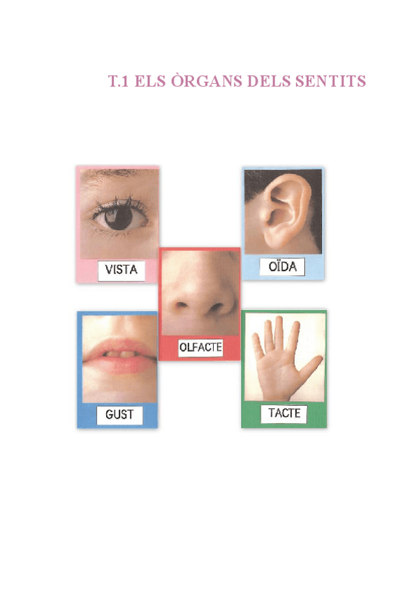Miniatura del documento T.1-ELS-SENTITS.pdf
