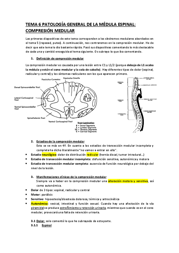 Miniatura del documento TEMA-6-PATOLOGIA-GENERAL-DE-LA-MEDULA-ESPINAL.pdf