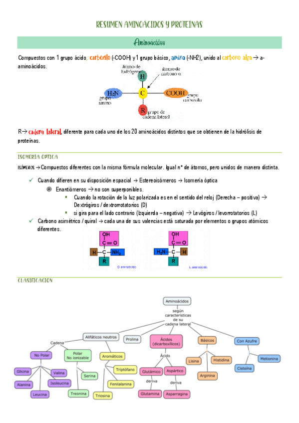 Miniatura del documento RESUMEN-AMINOACIDOS-Y-PROTEINAS.pdf
