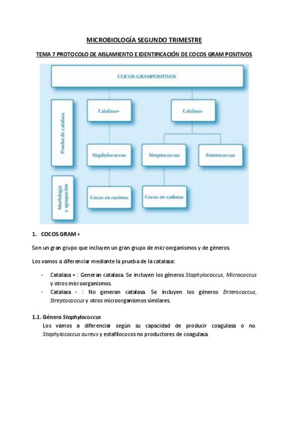 Miniatura del documento MICRO-2o-TRIMESTRE.pdf