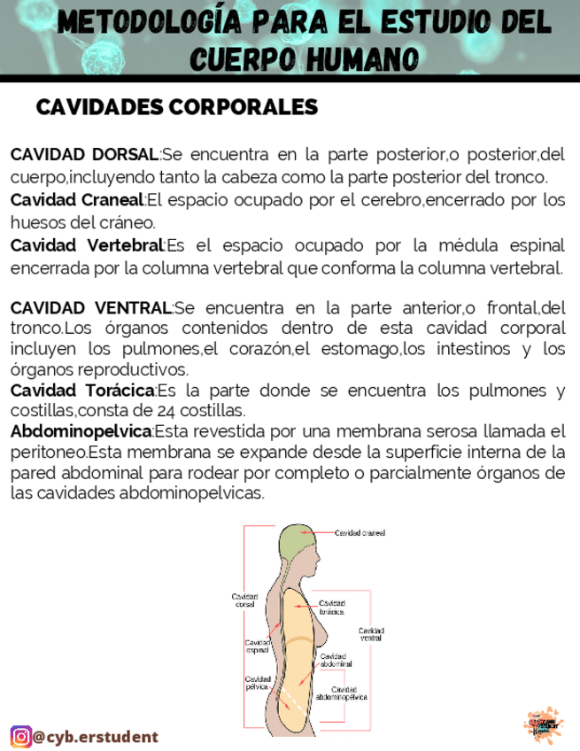 Miniatura del documento CAVIDADES-CORPORALES.pdf