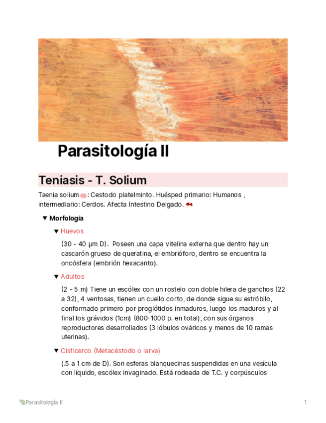 Miniatura del documento Parasitologia-II.pdf