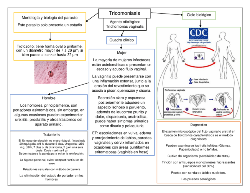 Miniatura del documento 2.-Tricomoniasis.pdf