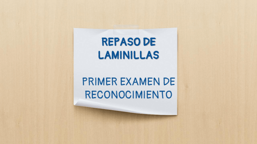 Miniatura del documento 1er-examen-de-laminillas.pdf