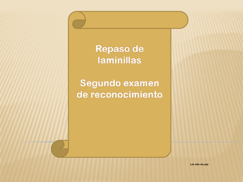 Miniatura del documento repaso-laminillas-2.pdf