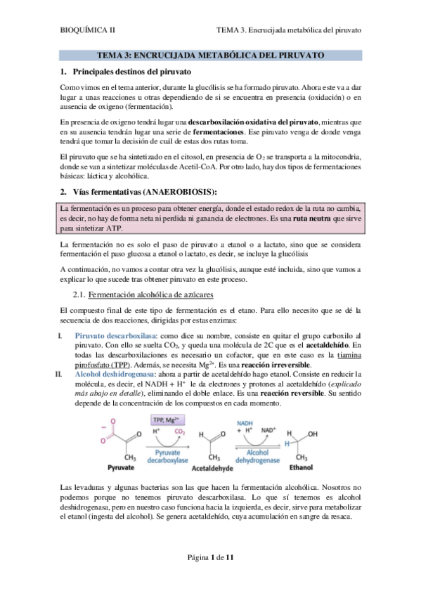 Miniatura del documento TEMA-3.-ENCRUCIJADA-METABOLICA-DEL-PIRUVATO.pdf