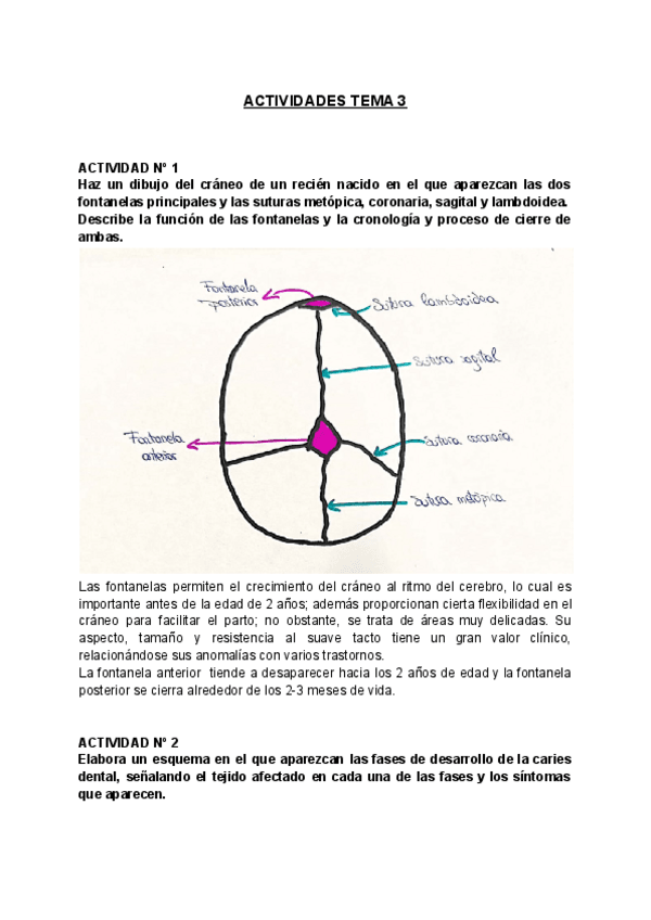 Miniatura del documento ACTIVIDADES-TEMA-3.pdf