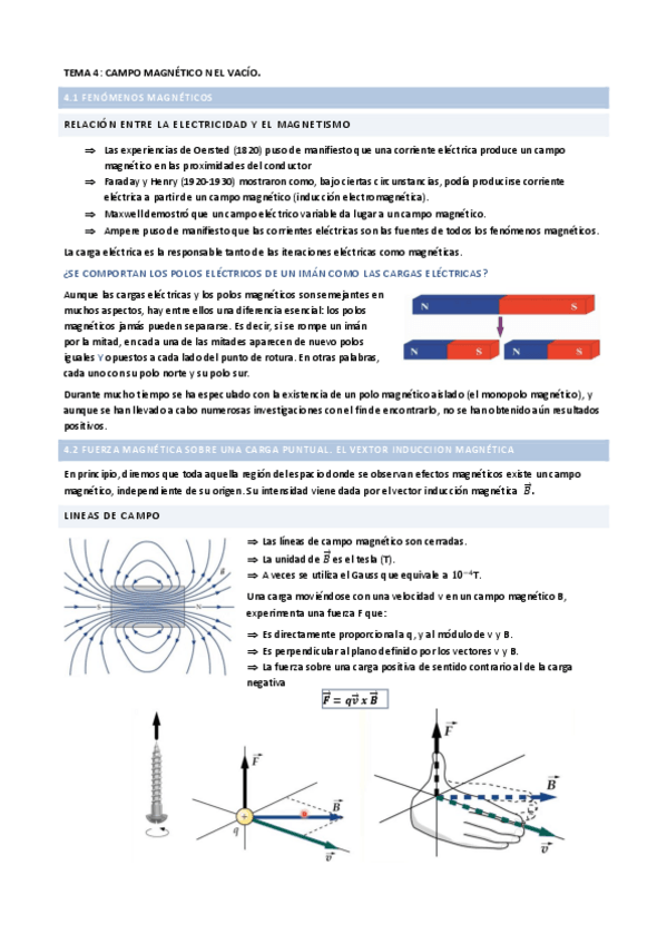 Miniatura del documento TEMA-4.-CAMPO-MAGNETICO-EN-EL-VACIO.pdf