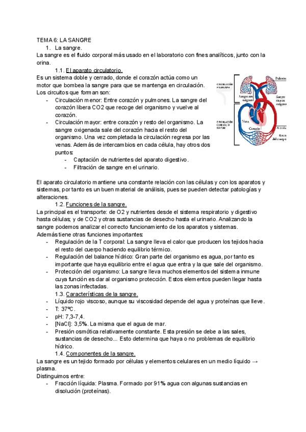 Miniatura del documento TEMA-6-LA-SANGRE.pdf