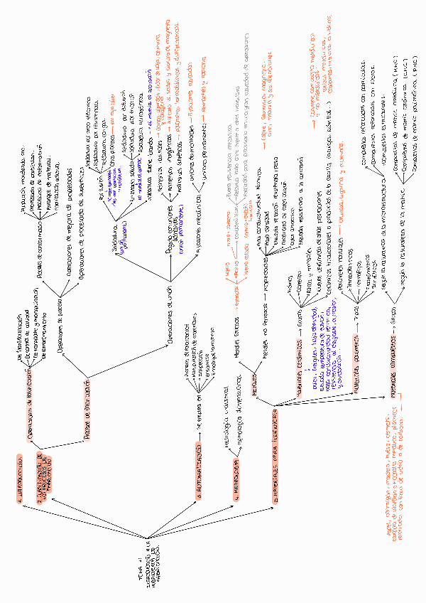 Miniatura del documento ESQUEMAS-BLOQUE-1-PI.pdf