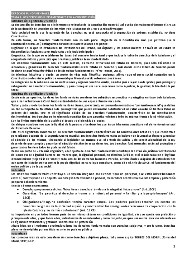 Miniatura del documento DERECHOS-FUNDAMENTALES.docx-1.pdf