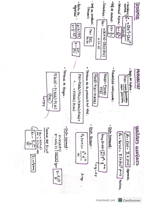 Miniatura del documento formulari estadistica.pdf