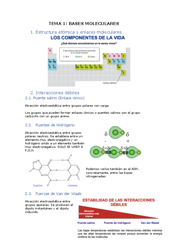 Miniatura del documento TEMA-1BIOQUIMICA.pdf