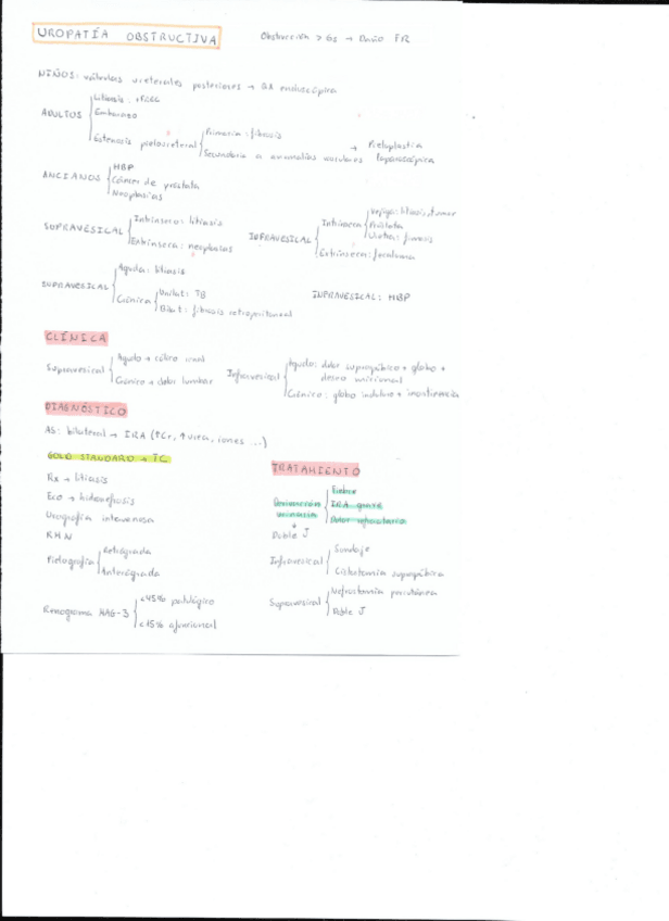 Miniatura del documento Uropatia-obstructiva-y-reflujo-vesico-ureteral.pdf