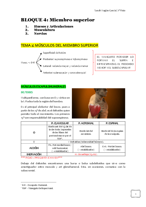 Miniatura del documento BLOQUE-4-musculos-MMSS.pdf