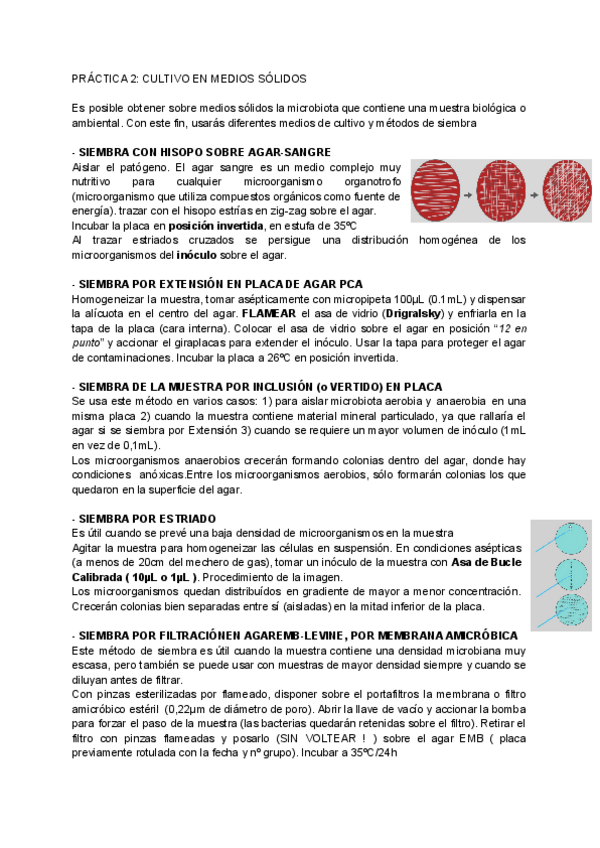 Miniatura del documento PRACTICA2-TBL-MICRO.pdf