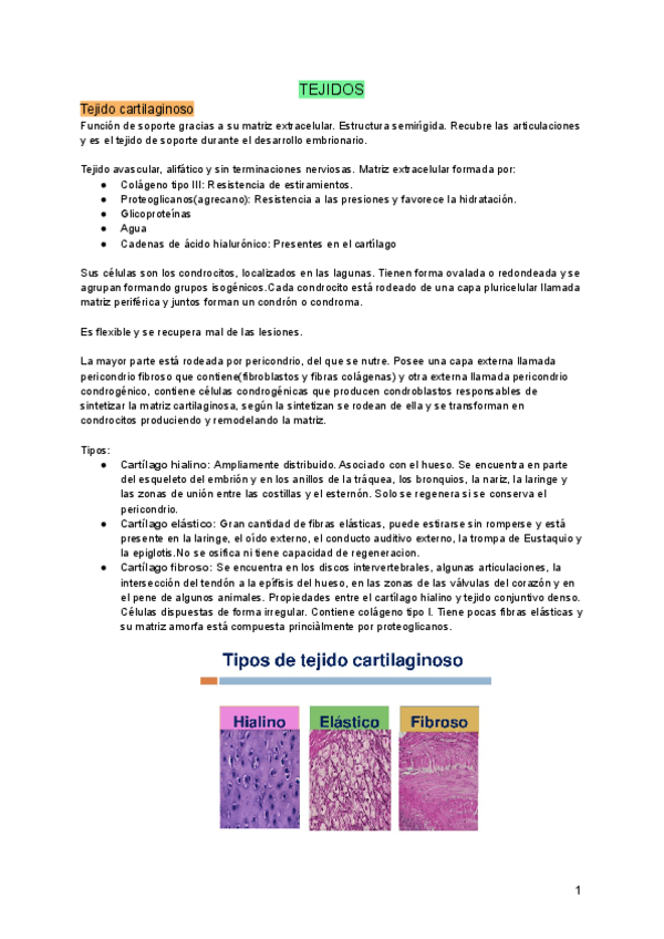 Miniatura del documento TEJIDOS.pdf