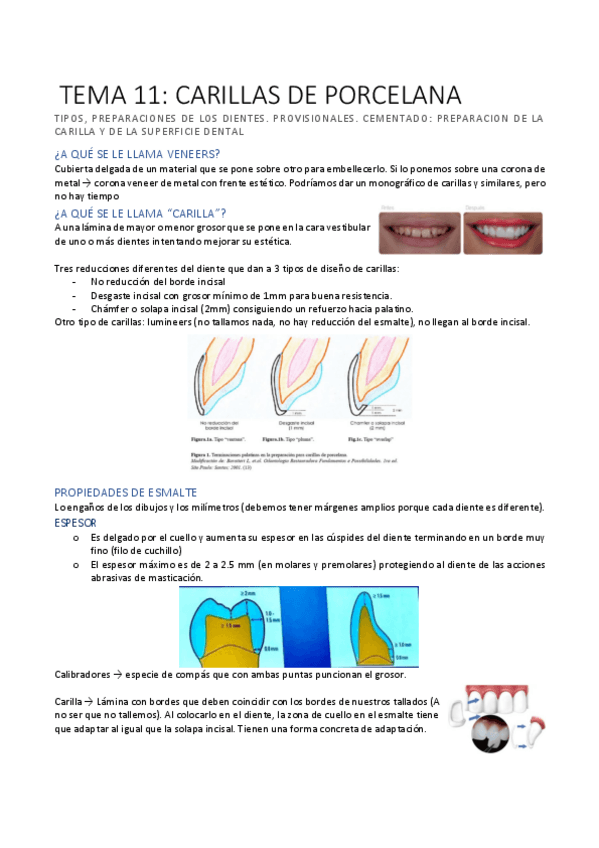 Miniatura del documento TEMA-11-PROT.pdf