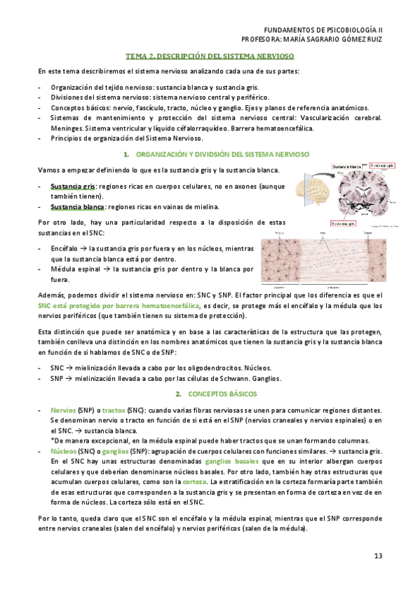 Miniatura del documento TEMA-2-PSICOBIOLOGIA-II.pdf