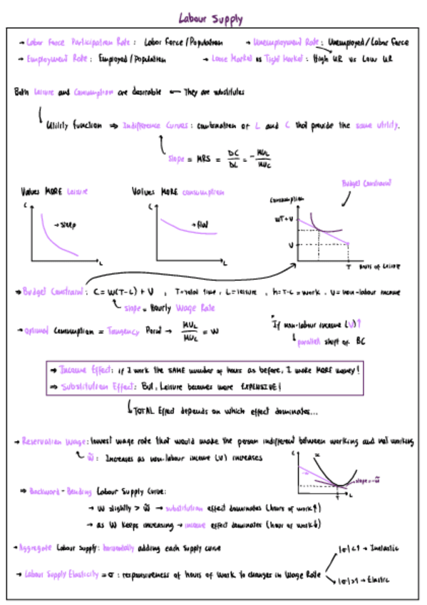 Miniatura del documento Apuntes-Labour-Economics.pdf