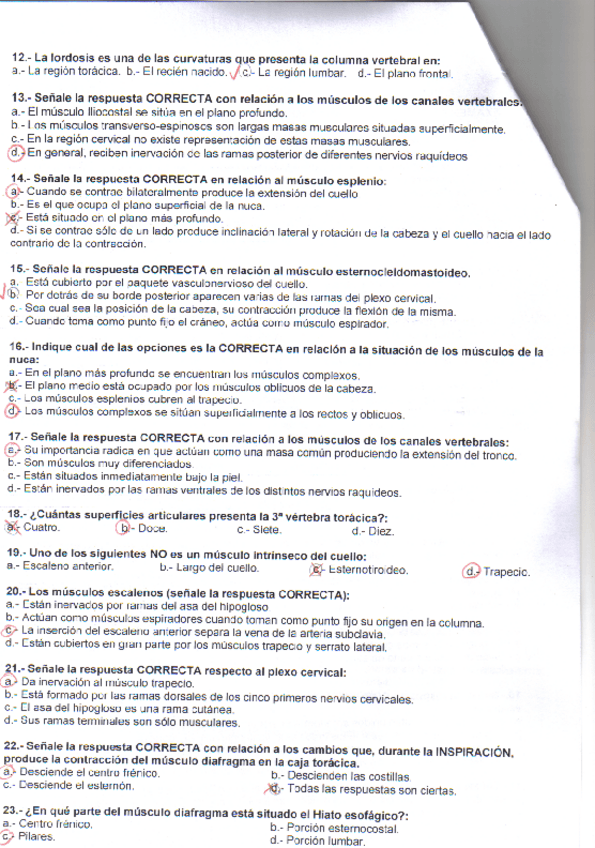 Miniatura del documento examen-anatomia-basica-y-del-tronco-2.PDF.pdf