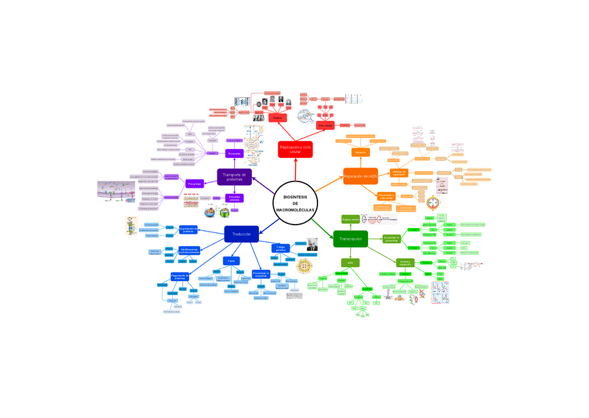 Miniatura del documento Mapa-Mental-1.pdf