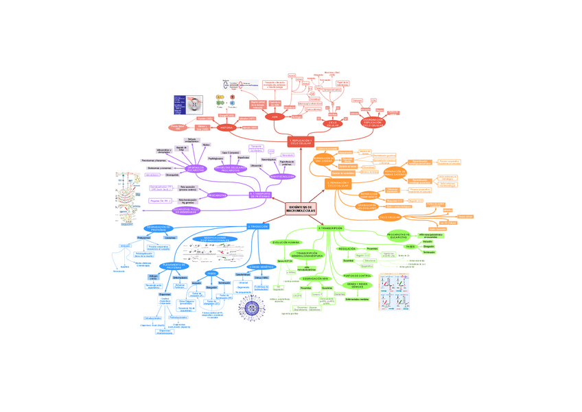 Miniatura del documento Mapa-mental-2.pdf