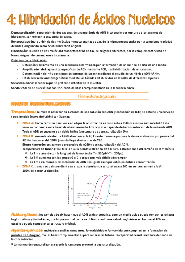 Miniatura del documento tema-4-BCM.pdf