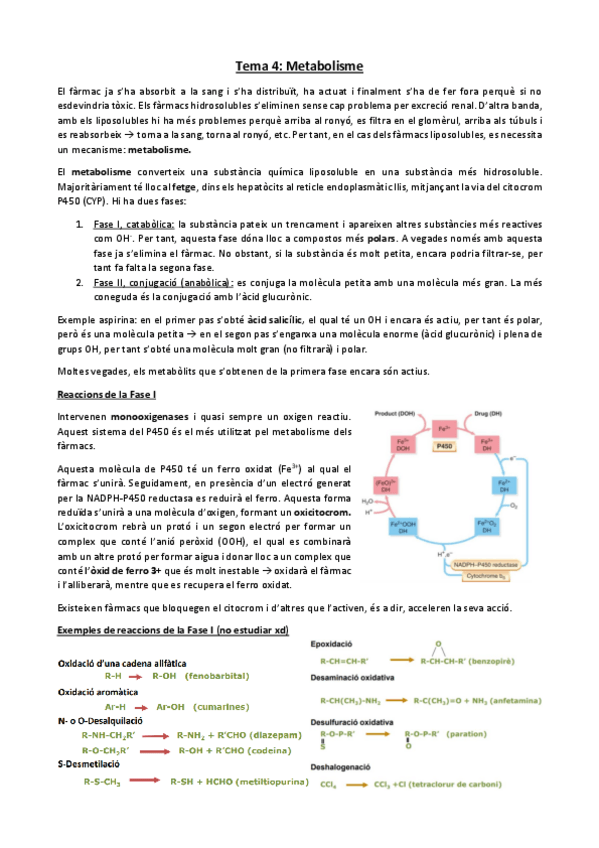 Miniatura del documento Tema-4.-Metabolisme.pdf