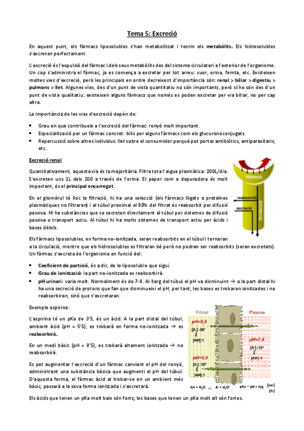 Miniatura del documento Tema-5.-Excrecio.pdf