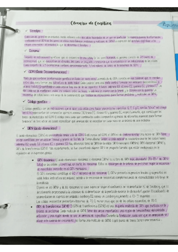 Miniatura del documento Apuntes-genetica-1.pdf