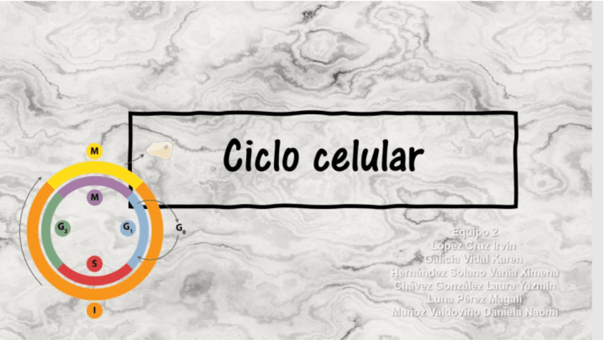 Miniatura del documento ciclo-celular-2.pdf