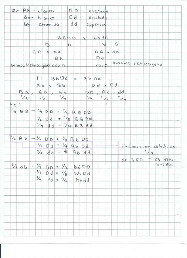 Miniatura del documento problemas-2-y-4.pdf