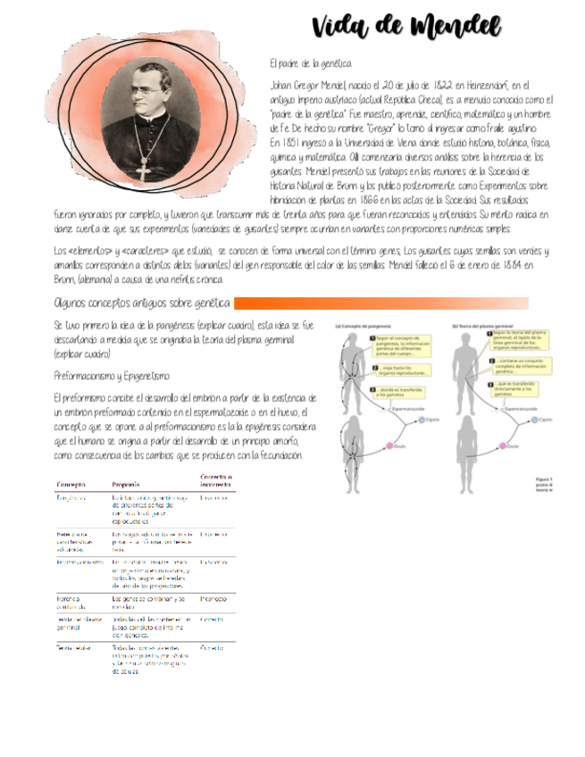 Miniatura del documento vida-de-mendel.pdf