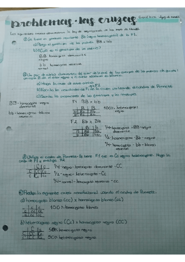 Miniatura del documento Problemas-de-genetica.-Porras-Vazquez-Samantha-Andrea.-Grupo2251.pdf