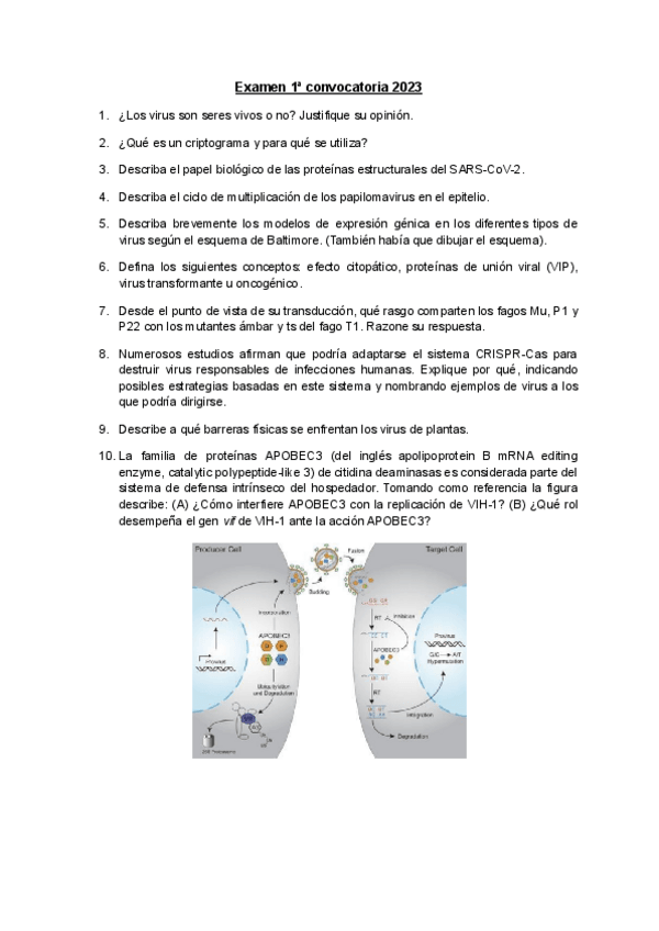 Miniatura del documento Examen-Enero-2023.pdf