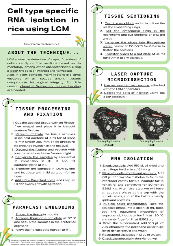 Miniatura del documento Poster.pdf
