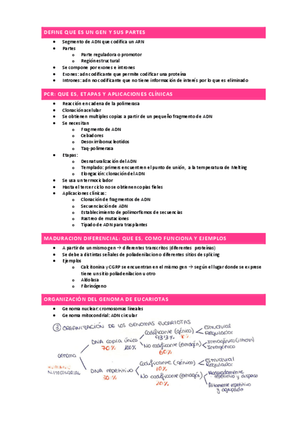 Miniatura del documento PREGUNTAS-CORTAS.pdf
