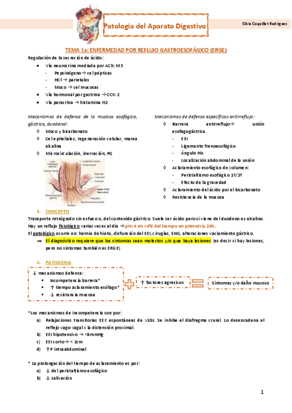 Miniatura del documento Resumen-digestivo.pdf